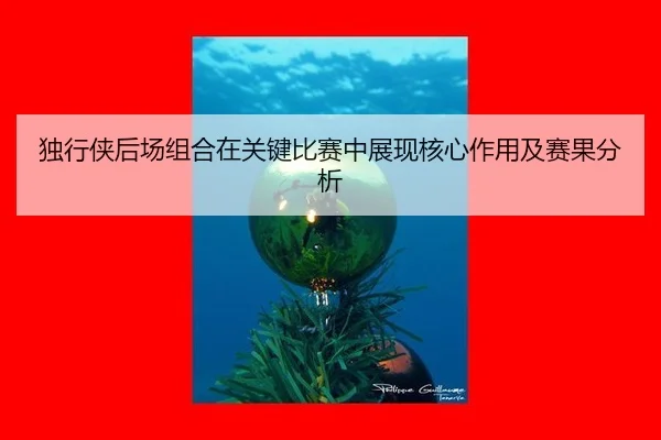 独行侠后场组合在关键比赛中展现核心作用及赛果分析